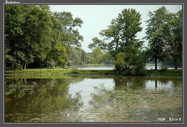 photo "Backwaters" tags: landscape, summer, water