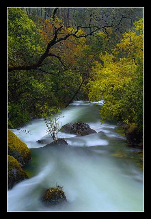 photo "Secret Paradise" tags: landscape, forest, water