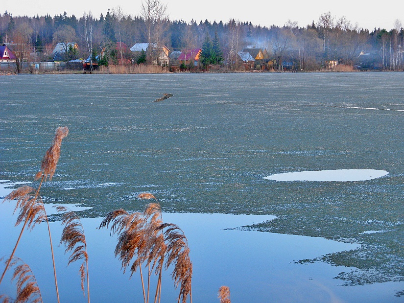 photo "***" tags: landscape, spring, water