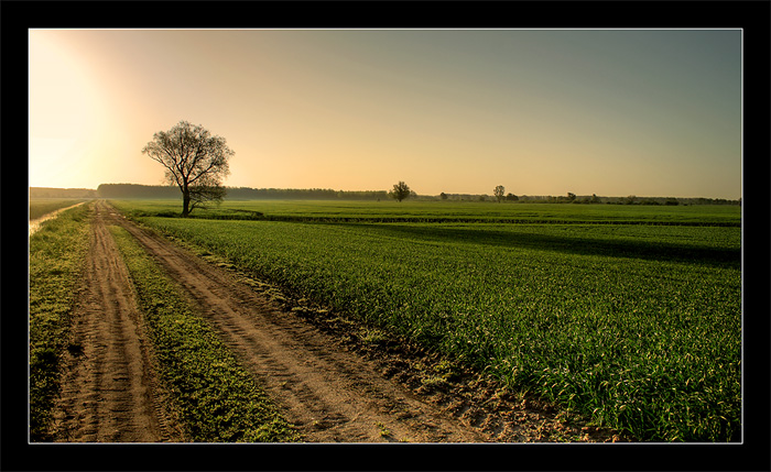 photo "***" tags: landscape, 