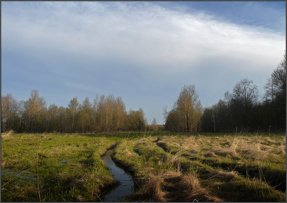 photo "After the long rains" tags: landscape, spring