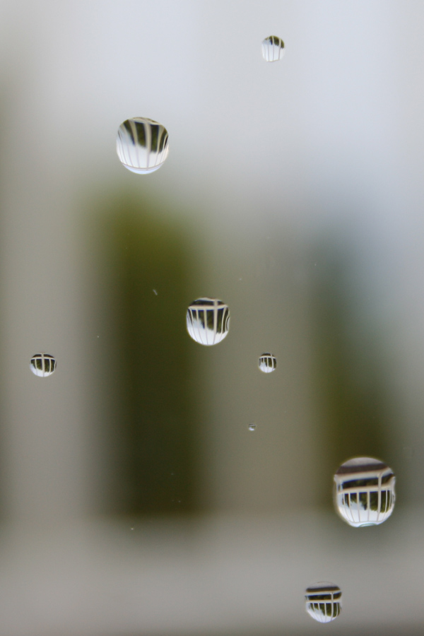 photo "rain-drops" tags: macro and close-up, abstract, 
