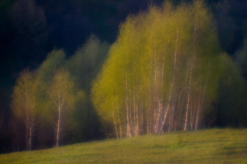 photo "***" tags: landscape, spring