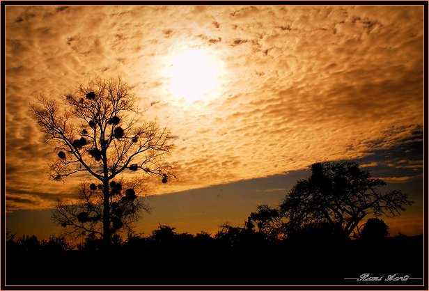 photo "good morning friends" tags: landscape, clouds, spring