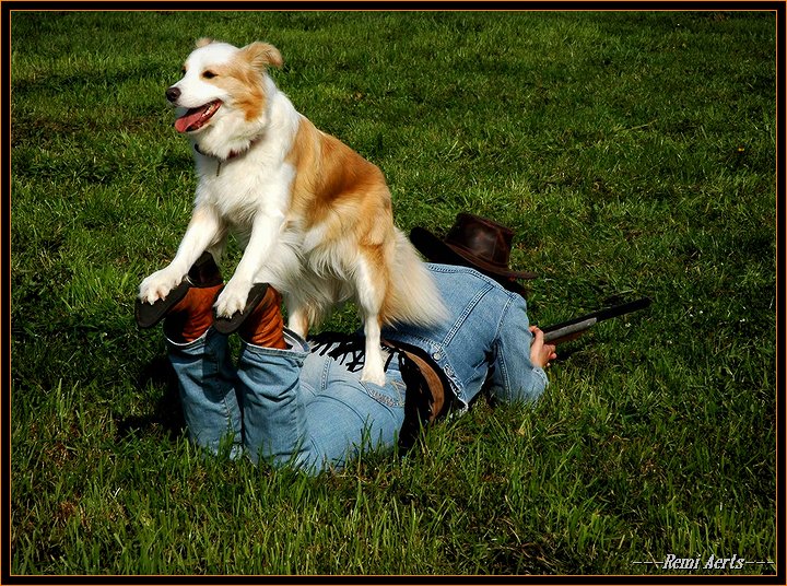 фото "i am the boss" метки: юмор, репортаж, 