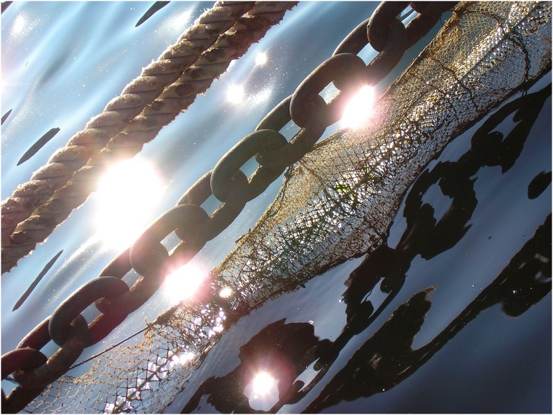 photo "chain and shine" tags: landscape, fragment, water
