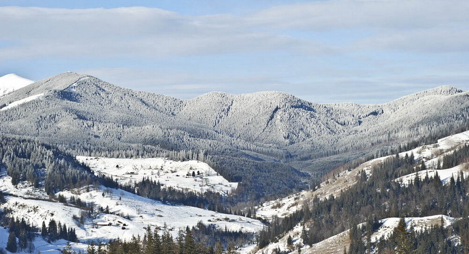 photo "***" tags: landscape, forest, winter