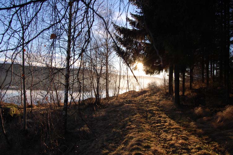 фото "***" метки: , 