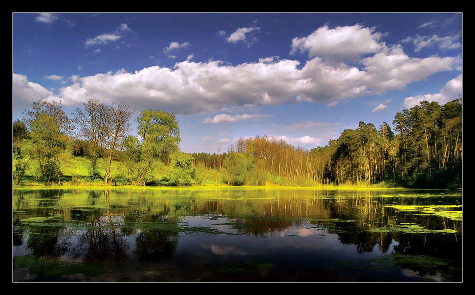 photo "***" tags: landscape, spring