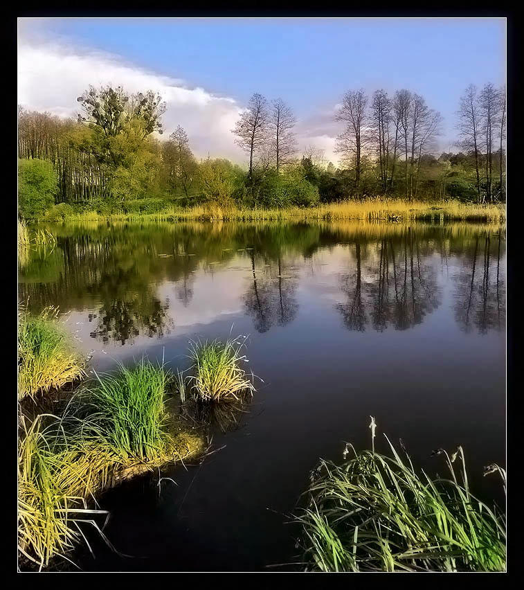 фото "*****" метки: пейзаж, весна