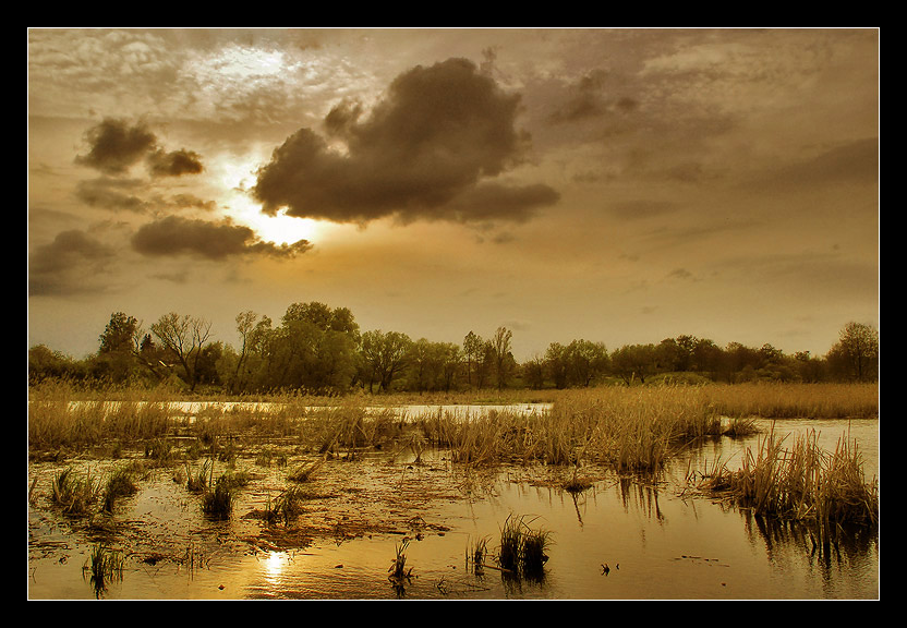 photo "The witche`s hour" tags: landscape, spring