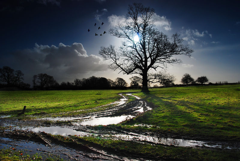 photo "Looking for a dead man chest" tags: landscape, spring