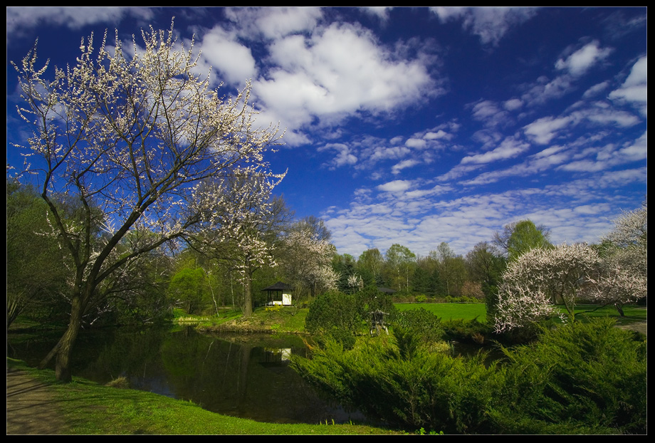 photo "***" tags: landscape, spring