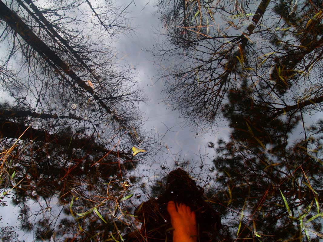 photo "Photographer's Foot" tags: landscape, genre, spring