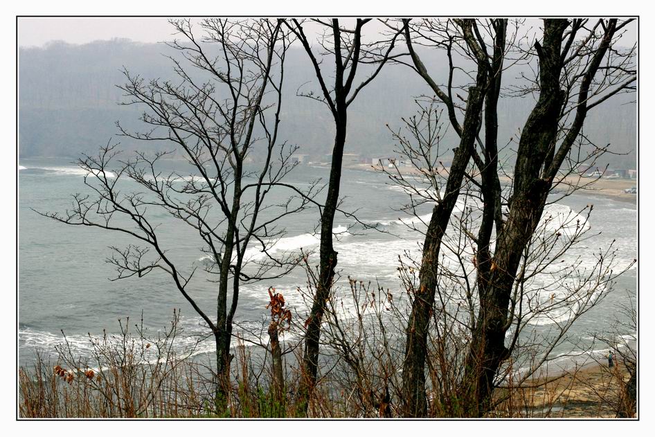 photo "***" tags: landscape, spring, water