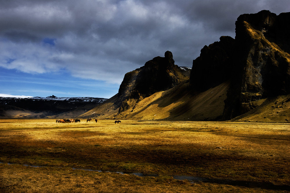 фото "Spring in iceland" метки: пейзаж, весна