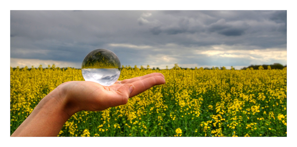 photo "Glas ball VolIII" tags: abstract, nature, flowers