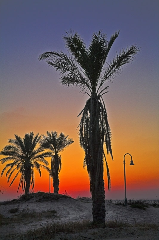 фото "3 Palms" метки: пейзаж, закат