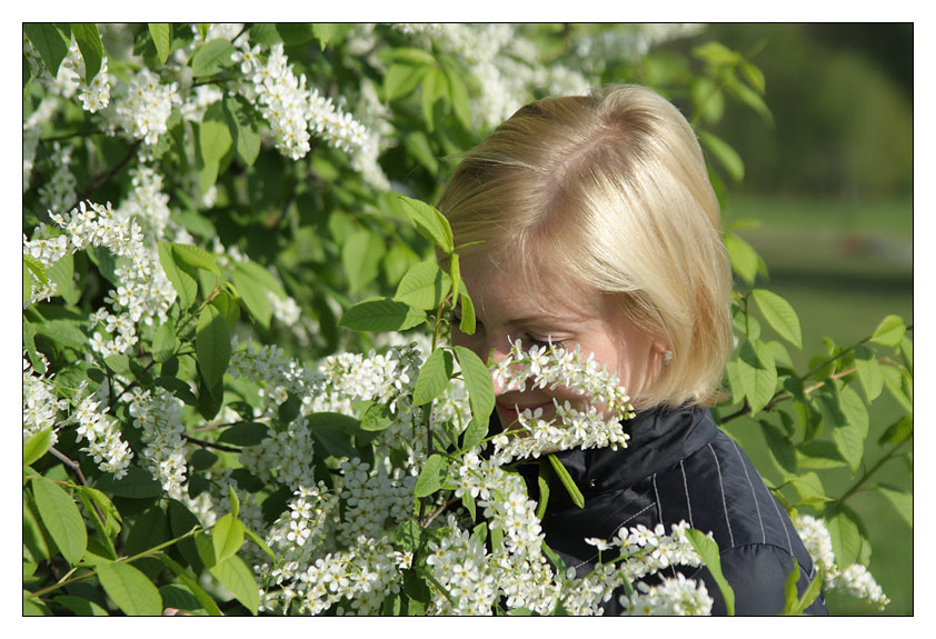 Белая черемушка. Черемуха в саду. Девушка с черемухой. Черемуха для детей. Фотосессия в цветущей черемухе.