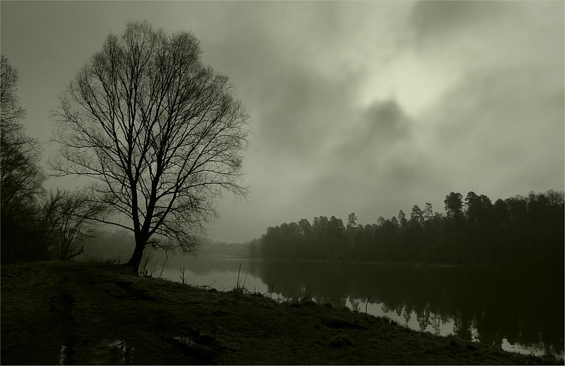 photo "Presentiment of spring" tags: landscape, forest, water