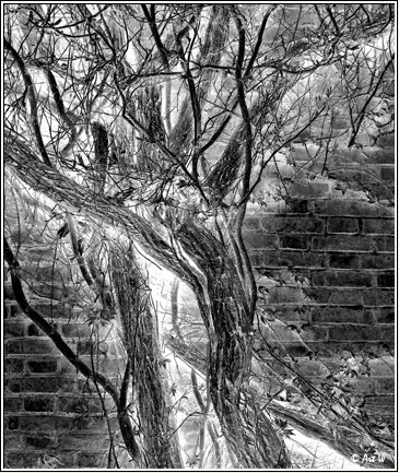 фото "City Dreams" метки: черно-белые, 