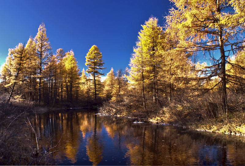 photo "***" tags: landscape, autumn, water