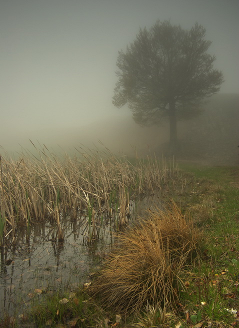 фото "****" метки: пейзаж, 