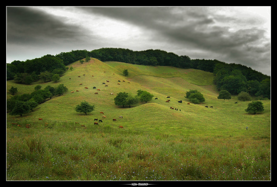 photo "* DARK HILLS *" tags: landscape, summer