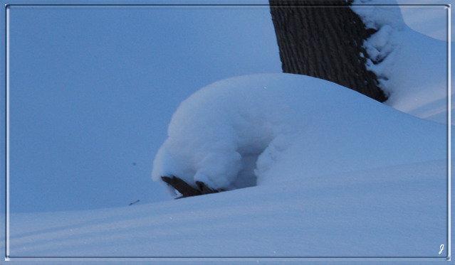 photo "***" tags: landscape, winter