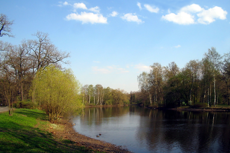 photo "April" tags: landscape, spring, water