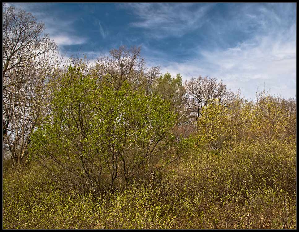 photo "***" tags: landscape, spring