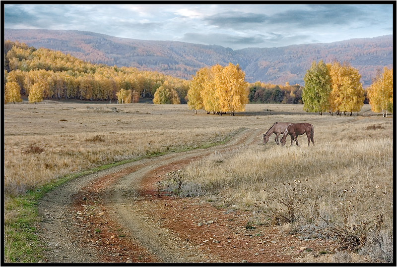 photo "***" tags: nature, landscape, autumn, pets/farm animals