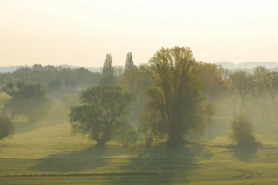 фото "Sweet home Sachsen-Anhalt" метки: пейзаж, 