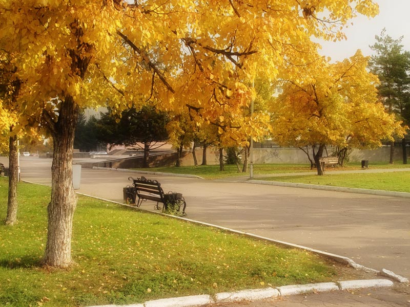 photo "***" tags: landscape, autumn