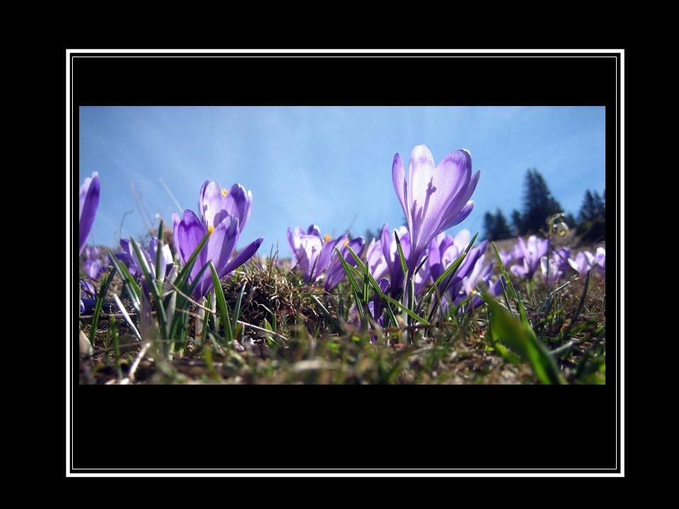 фото "***" метки: , 