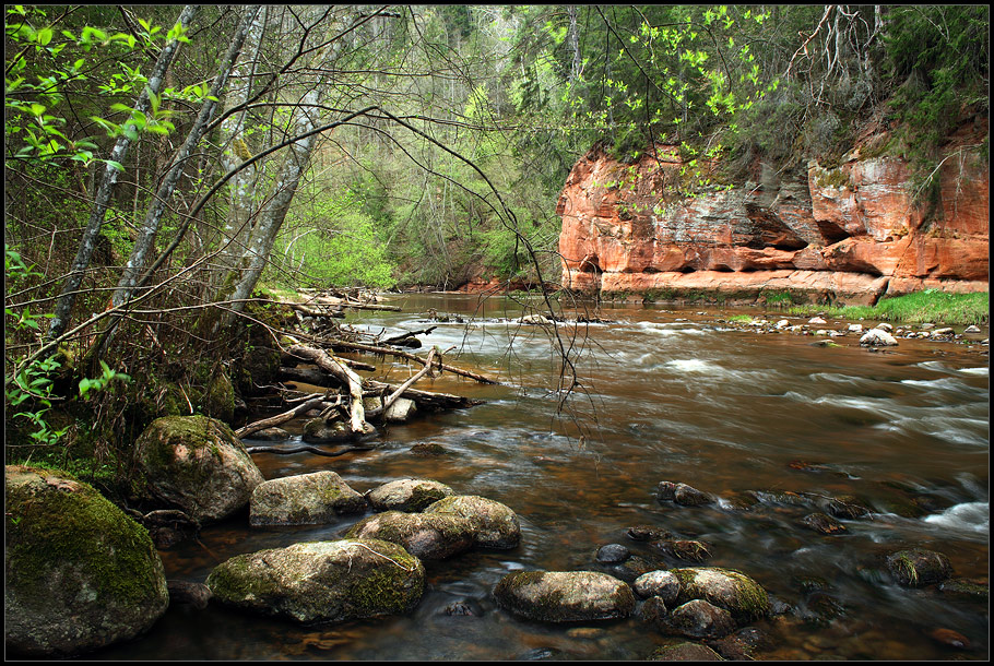 photo "* * *" tags: landscape, forest, water