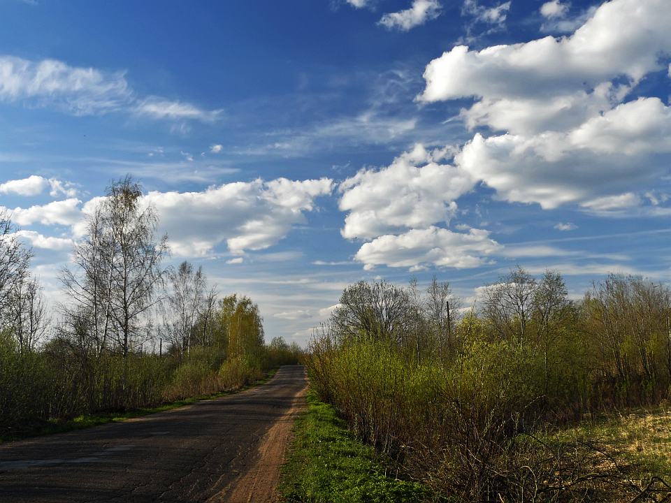 фото "Весенняя дорога" метки: пейзаж, весна