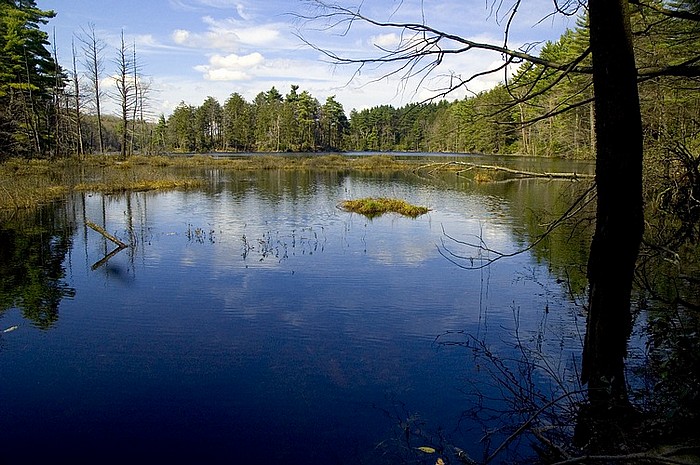 photo "Neck Lake" tags: travel, landscape, North America, spring