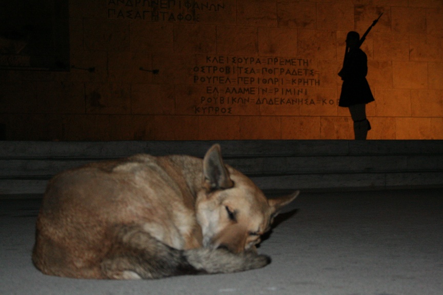 фото "watch" метки: путешествия, 