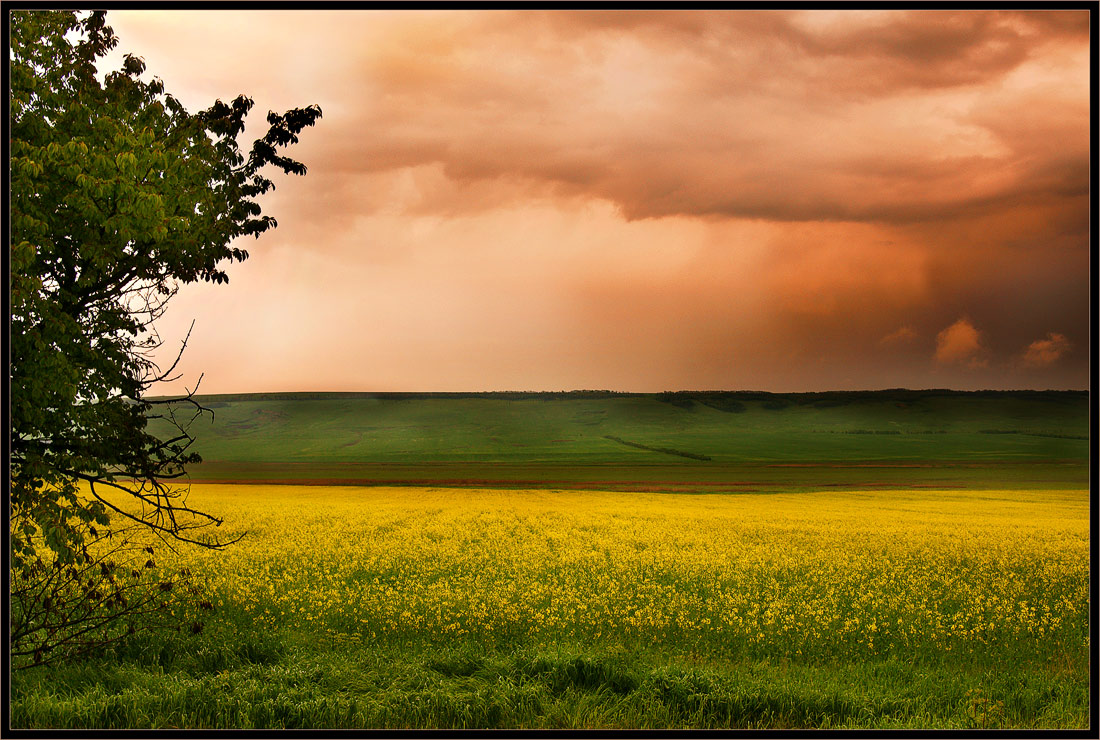 photo "Country crimson cloud" tags: landscape, clouds