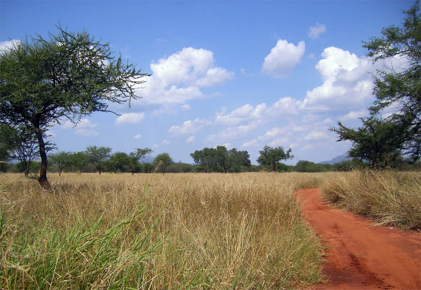 photo "***" tags: travel, Africa