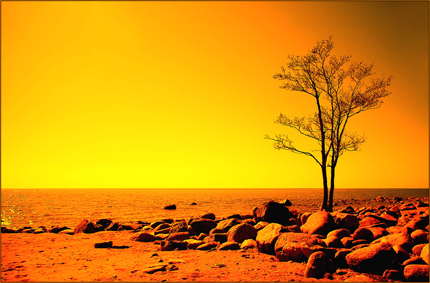 photo "Orange mood" tags: landscape, 