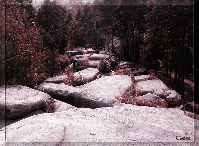 photo "***" tags: landscape, 