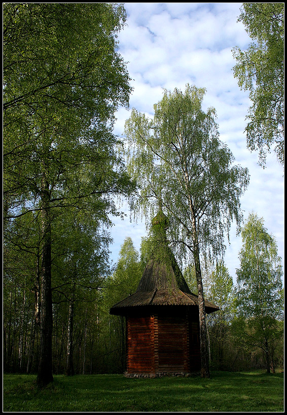 photo "Birch chapel" tags: , 