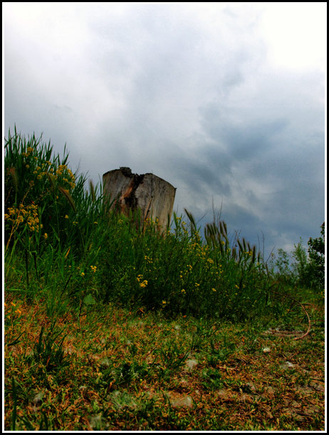 фото "***" метки: пейзаж, 