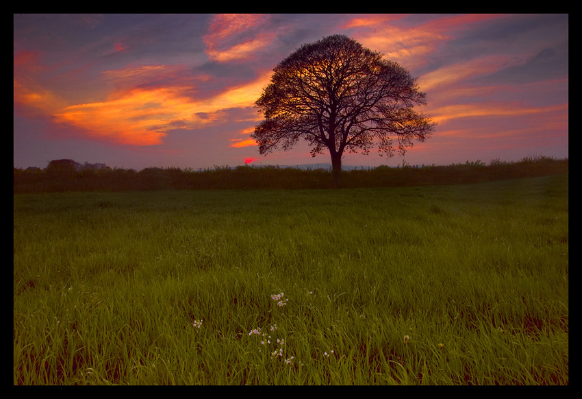 photo "Wild west" tags: landscape, sunset