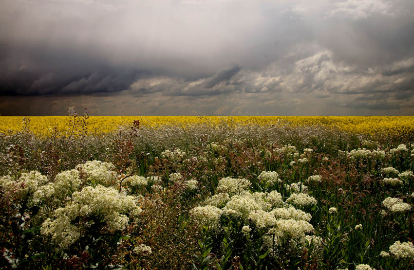 photo "***" tags: landscape, spring