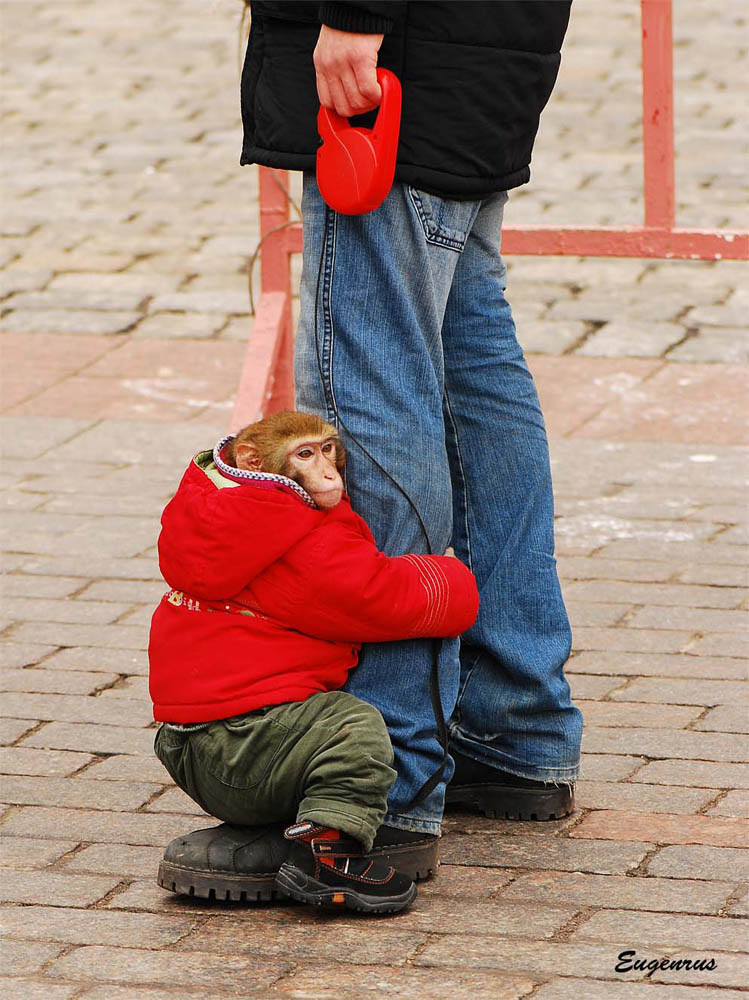 фото "Friends" метки: жанр, 