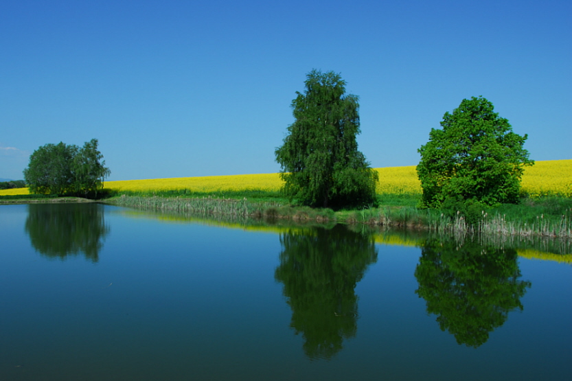 фото "Sweet home Sachsen-Anhalt" метки: пейзаж, весна, вода