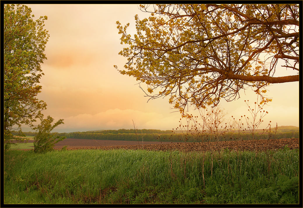 photo "spring sundown" tags: landscape, sunset